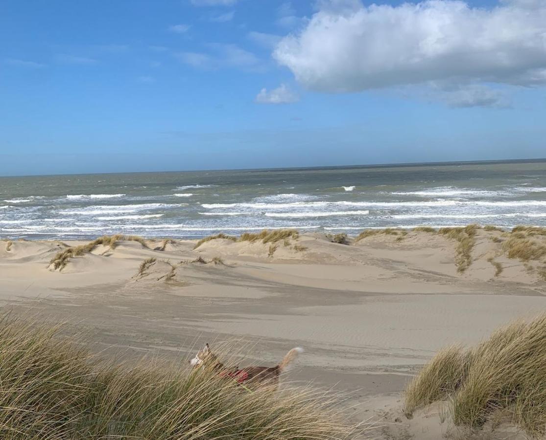 Moderne Studio Aan Het Strand In Oostduinkerke-Bad Koksijde Εξωτερικό φωτογραφία